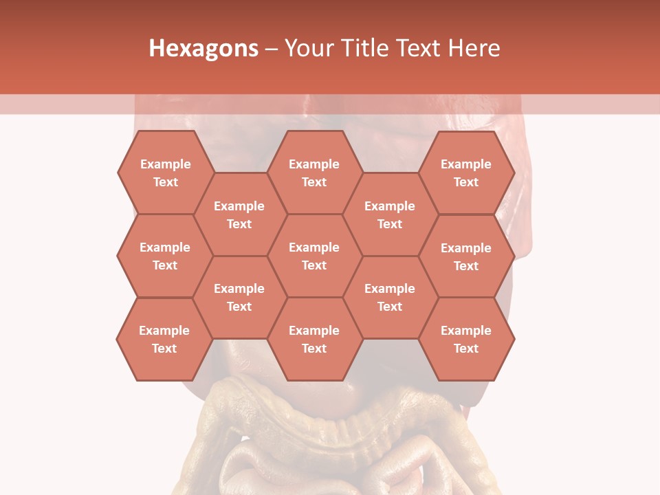 Lung Anatomical Care PowerPoint Template