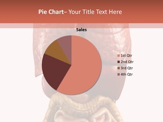 Lung Anatomical Care PowerPoint Template