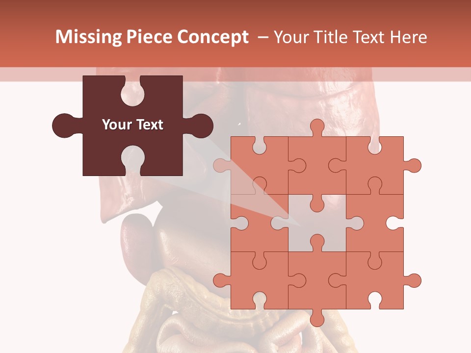 Lung Anatomical Care PowerPoint Template