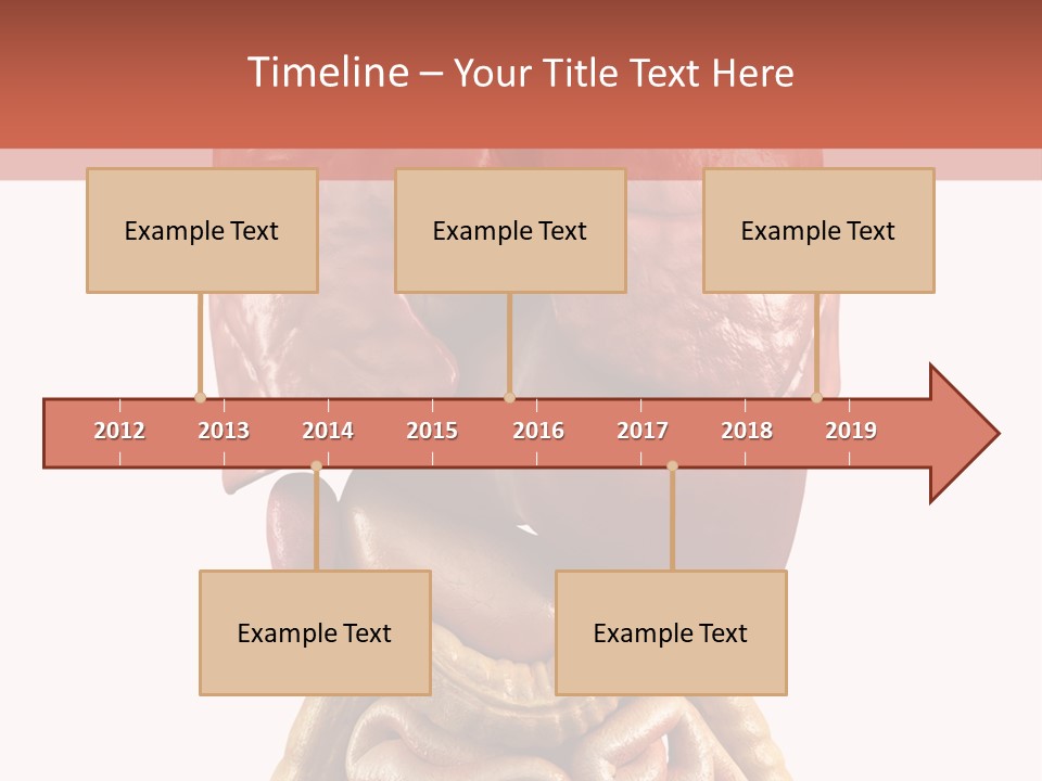 Lung Anatomical Care PowerPoint Template