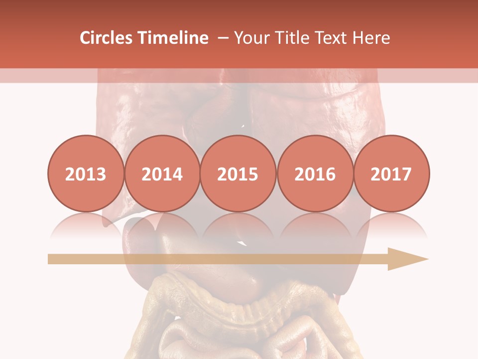 Lung Anatomical Care PowerPoint Template