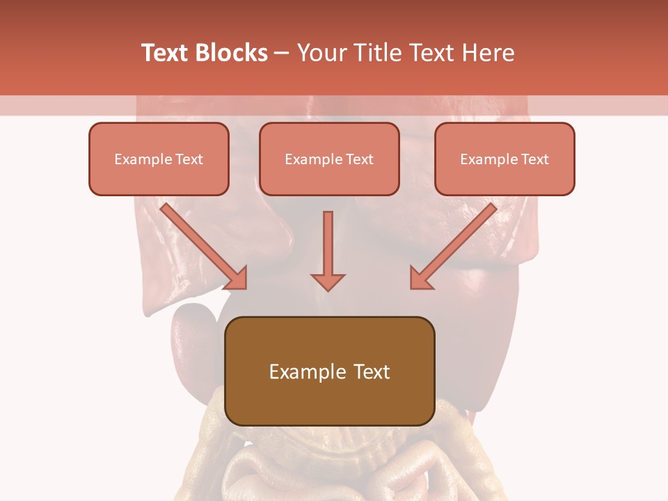 Lung Anatomical Care PowerPoint Template