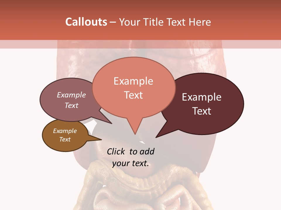 Lung Anatomical Care PowerPoint Template