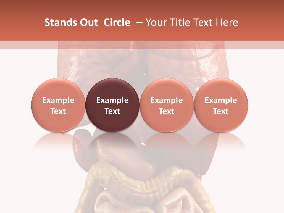 Lung Anatomical Care PowerPoint Template