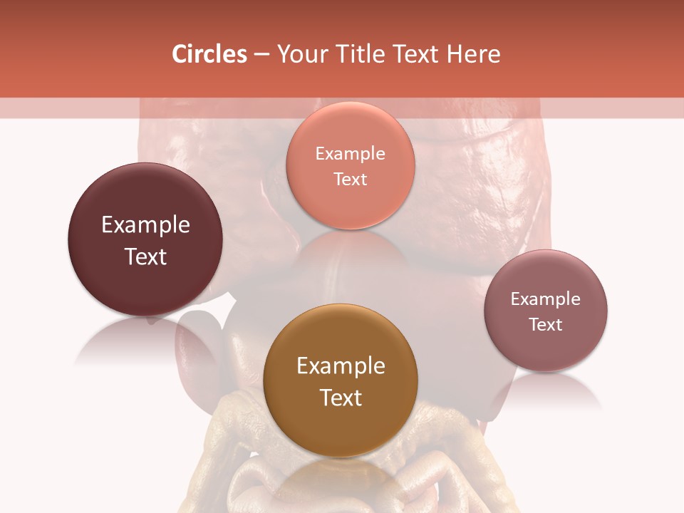 Lung Anatomical Care PowerPoint Template
