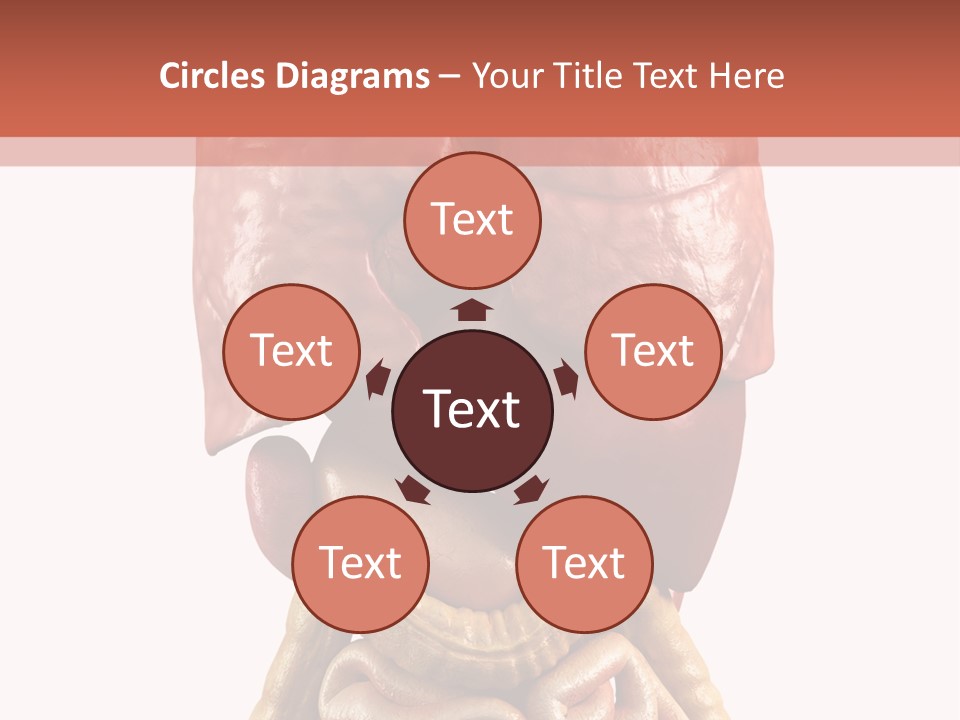 Lung Anatomical Care PowerPoint Template