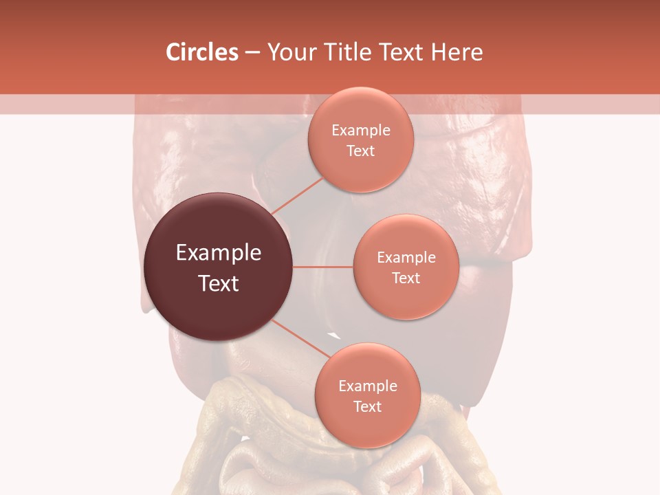 Lung Anatomical Care PowerPoint Template