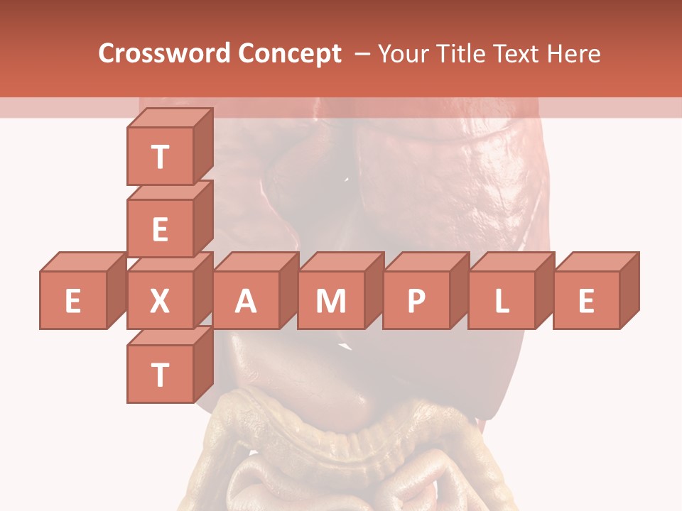 Lung Anatomical Care PowerPoint Template