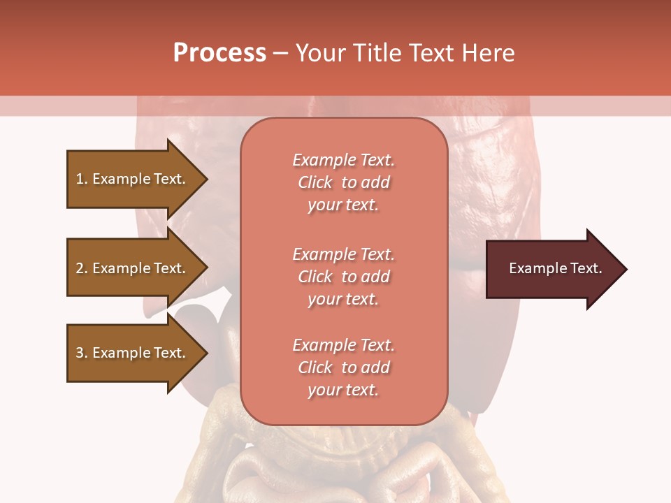 Lung Anatomical Care PowerPoint Template