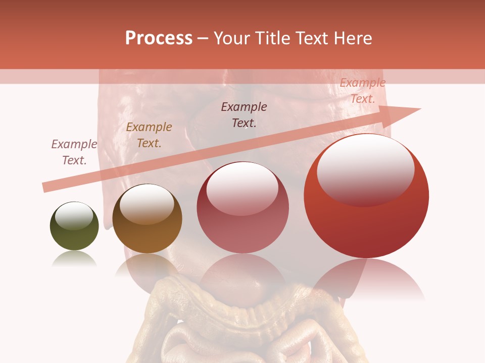 Lung Anatomical Care PowerPoint Template