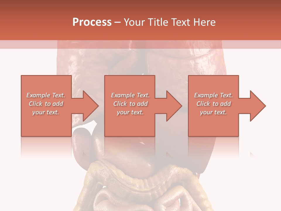 Lung Anatomical Care PowerPoint Template