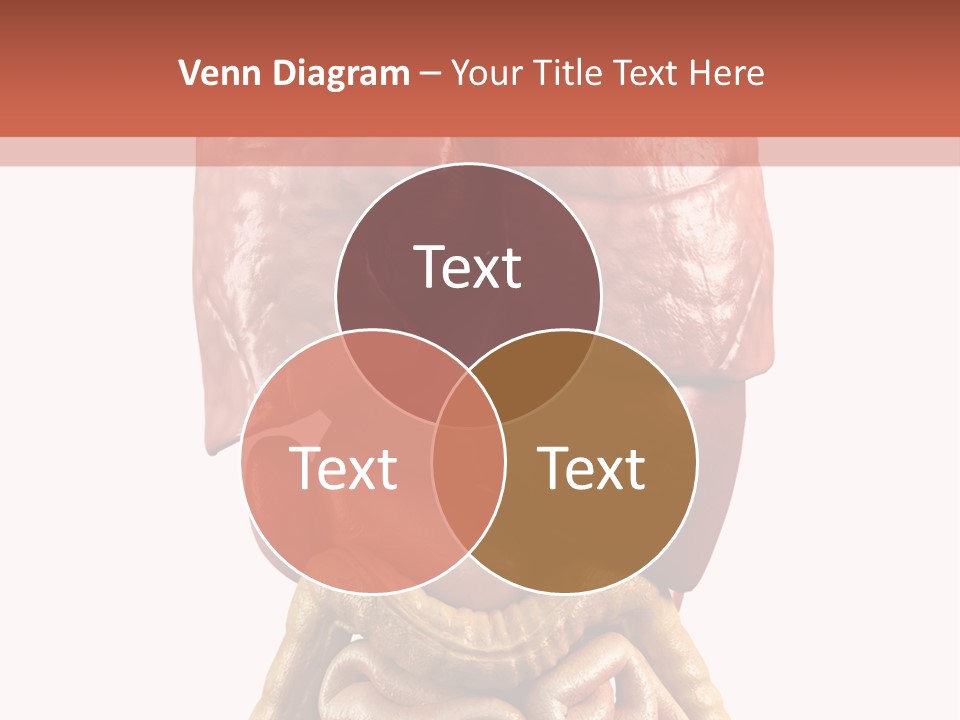 Lung Anatomical Care PowerPoint Template
