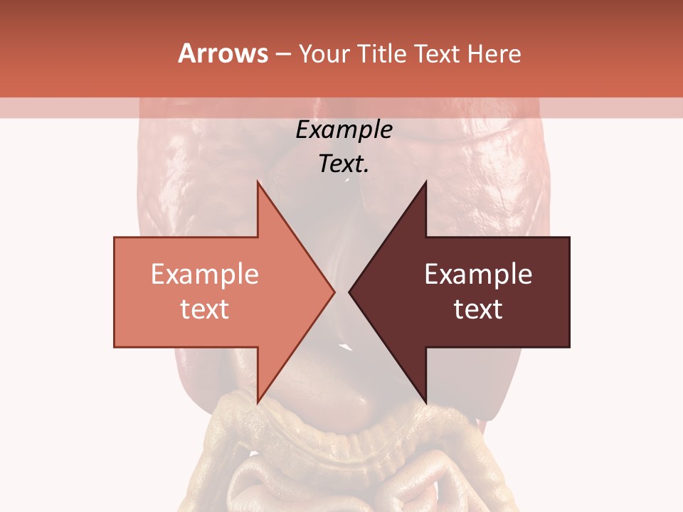 Lung Anatomical Care PowerPoint Template
