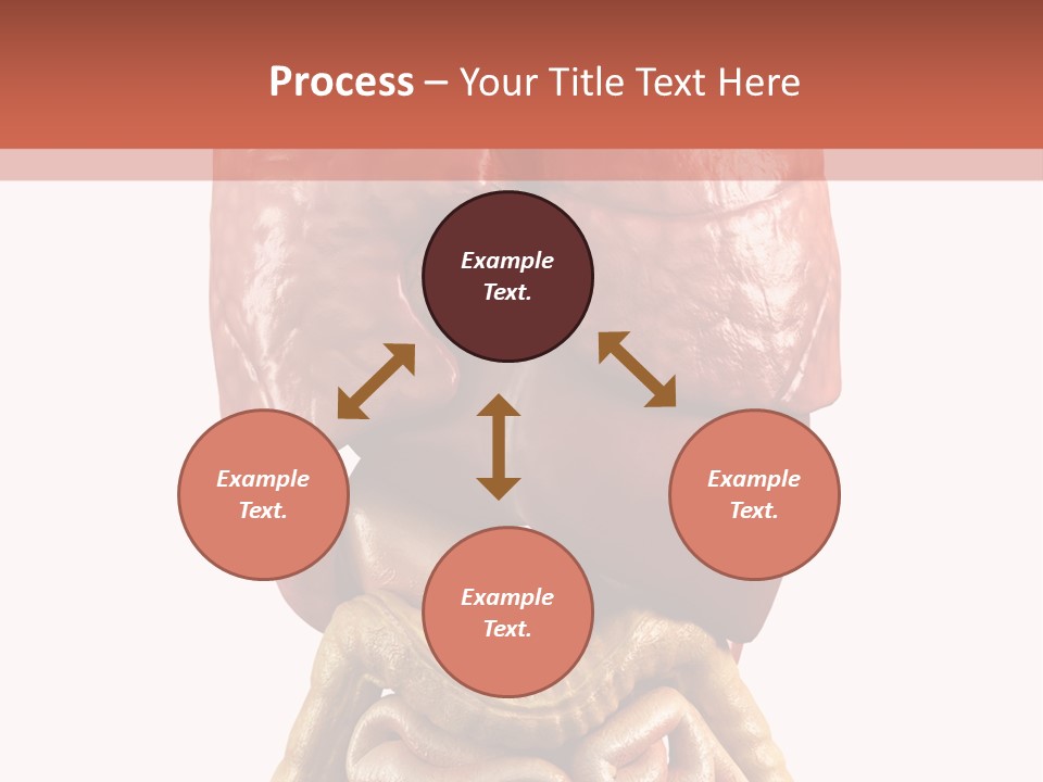 Lung Anatomical Care PowerPoint Template