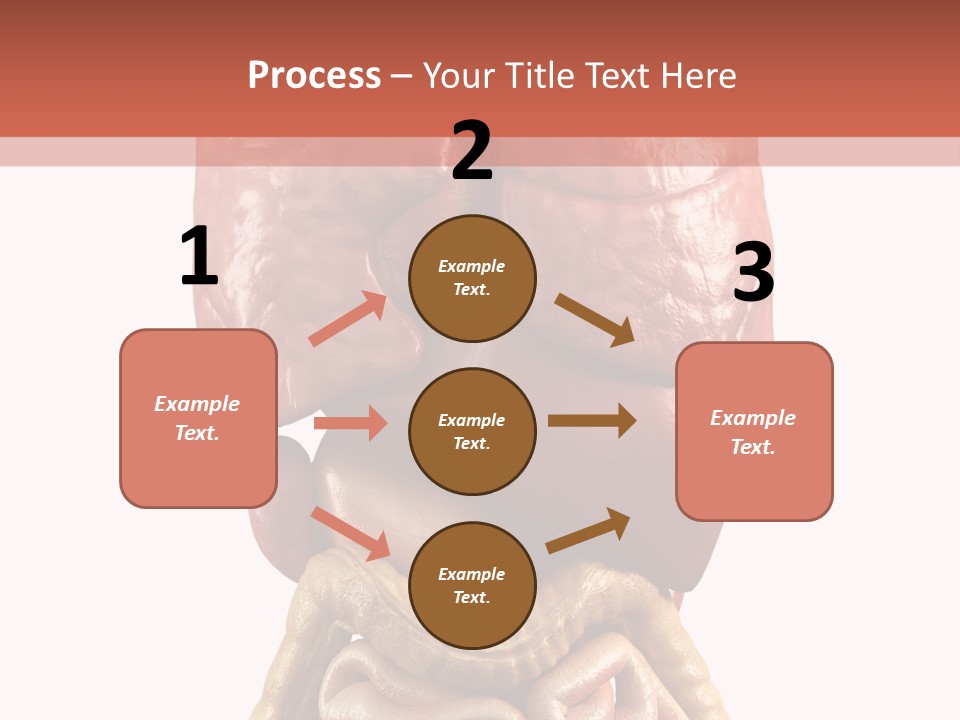 Lung Anatomical Care PowerPoint Template