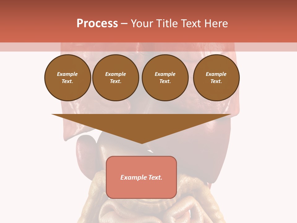 Lung Anatomical Care PowerPoint Template