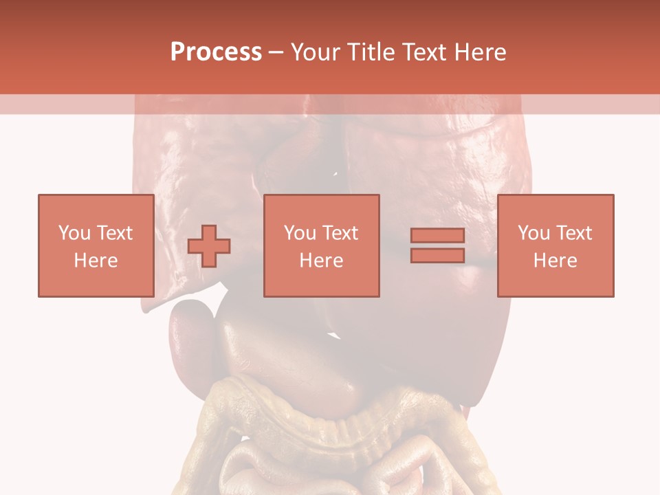 Lung Anatomical Care PowerPoint Template