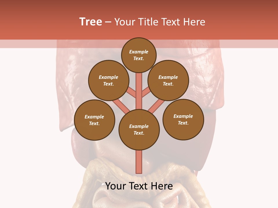 Lung Anatomical Care PowerPoint Template
