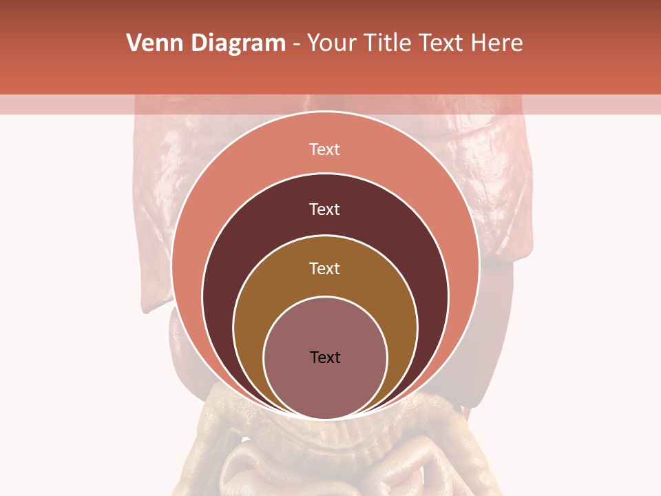 Lung Anatomical Care PowerPoint Template