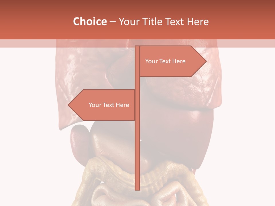 Lung Anatomical Care PowerPoint Template