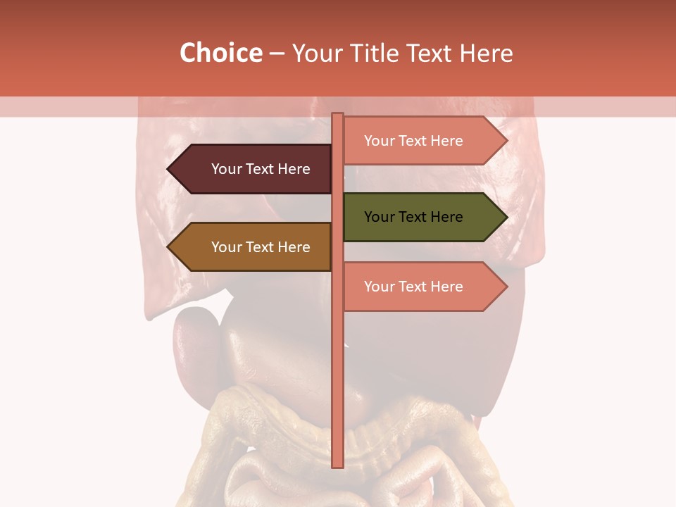 Lung Anatomical Care PowerPoint Template