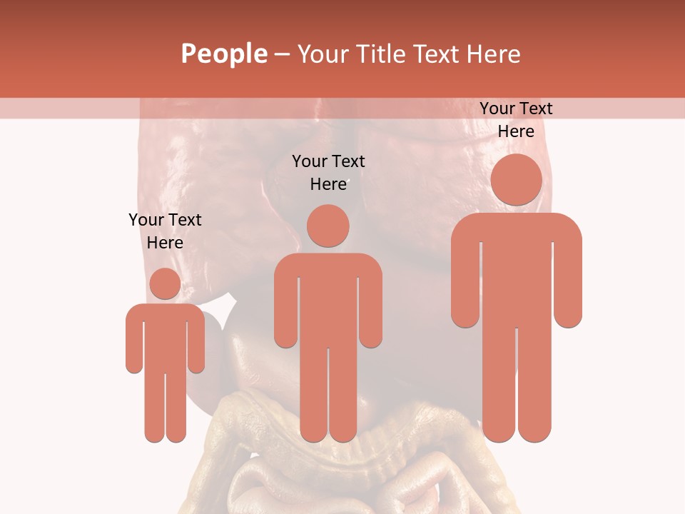 Lung Anatomical Care PowerPoint Template