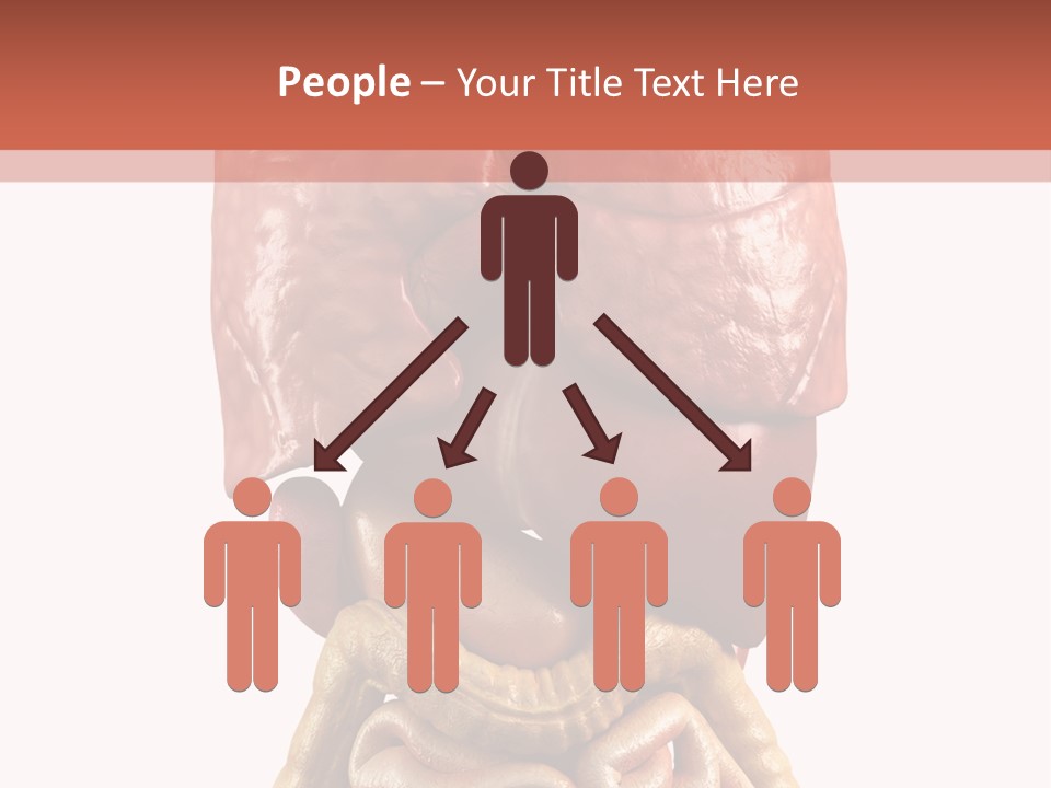 Lung Anatomical Care PowerPoint Template