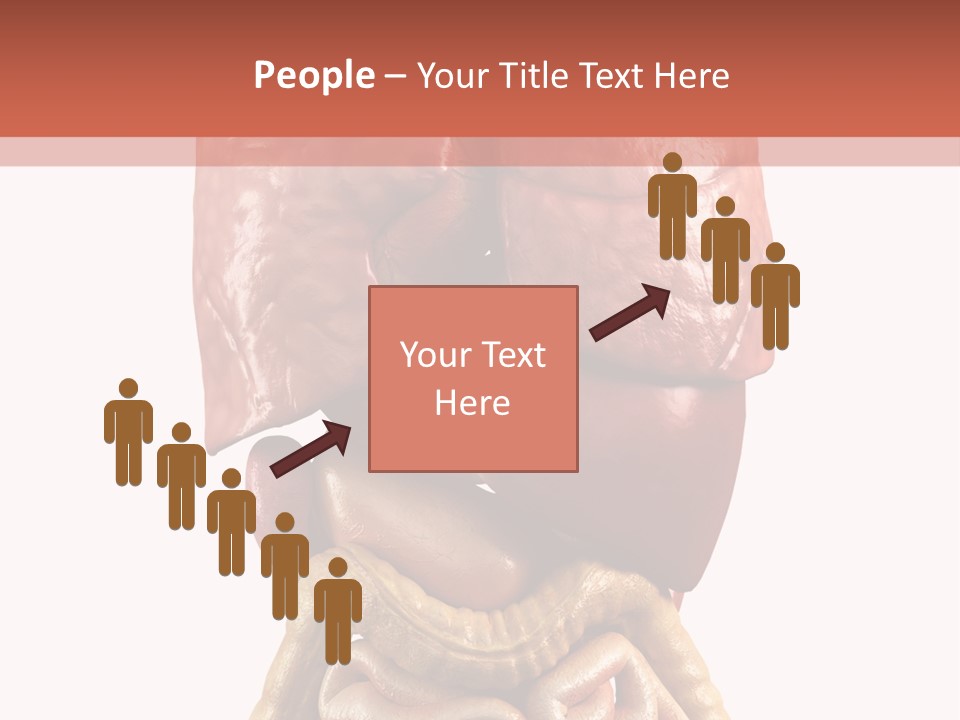 Lung Anatomical Care PowerPoint Template