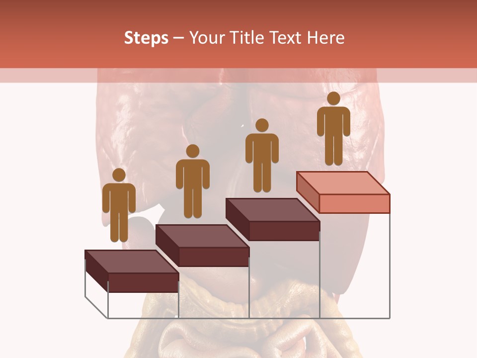 Lung Anatomical Care PowerPoint Template