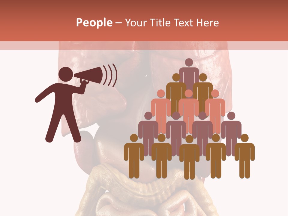 Lung Anatomical Care PowerPoint Template