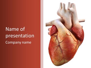 Test Atrium Heartbeat PowerPoint Template