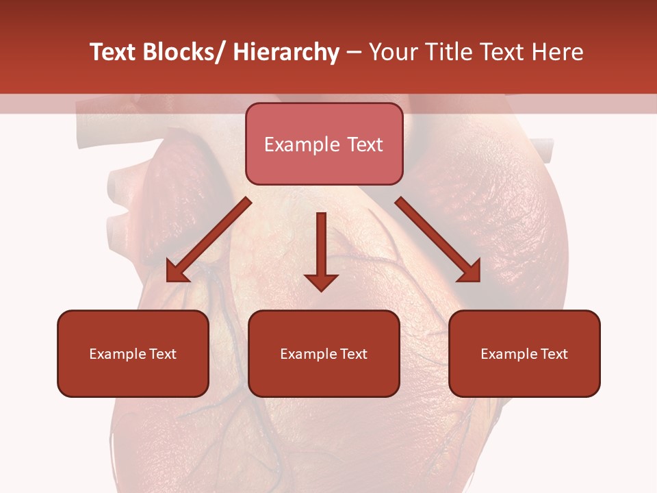 Test Atrium Heartbeat PowerPoint Template