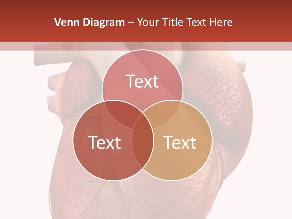 Test Atrium Heartbeat PowerPoint Template