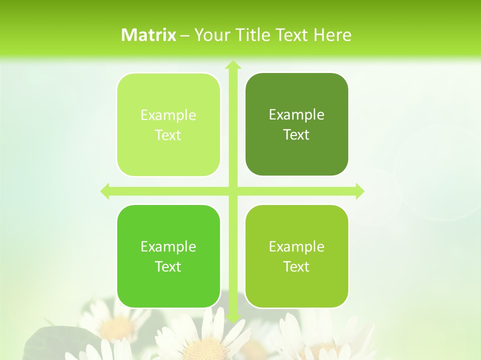 Fresh Daisy Growth PowerPoint Template