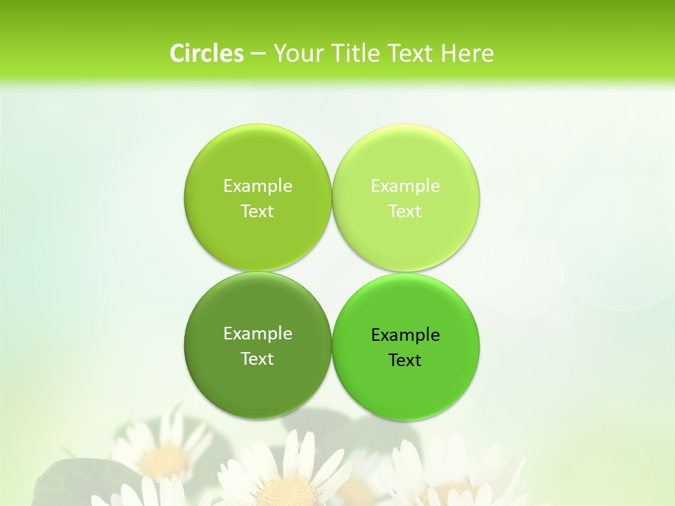 Fresh Daisy Growth PowerPoint Template