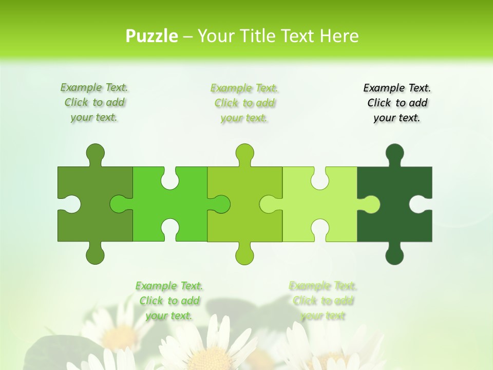 Fresh Daisy Growth PowerPoint Template