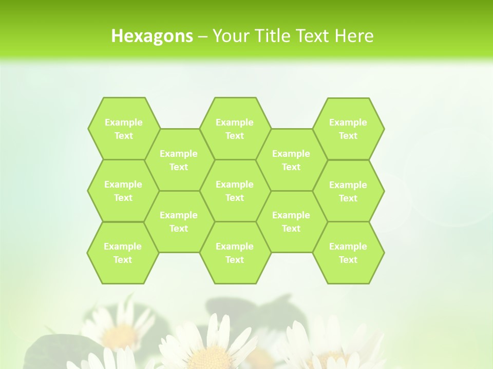 Fresh Daisy Growth PowerPoint Template