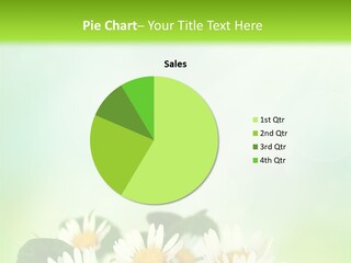 Fresh Daisy Growth PowerPoint Template