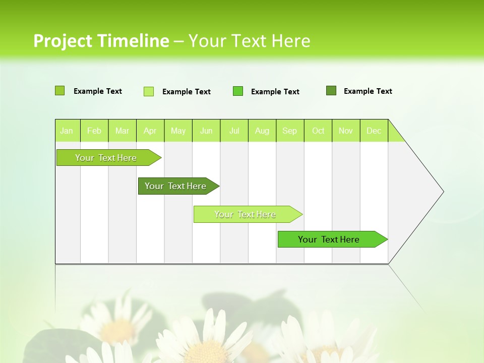 Fresh Daisy Growth PowerPoint Template