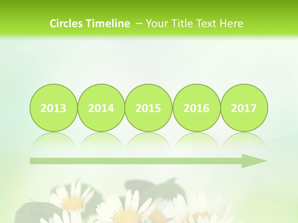 Fresh Daisy Growth PowerPoint Template