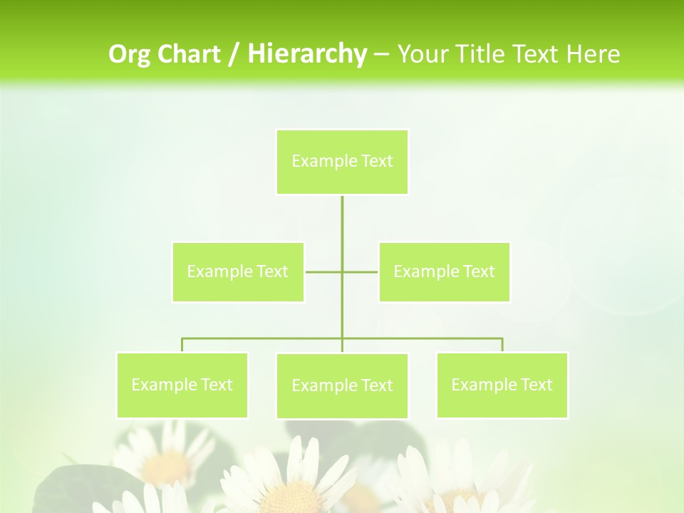 Fresh Daisy Growth PowerPoint Template