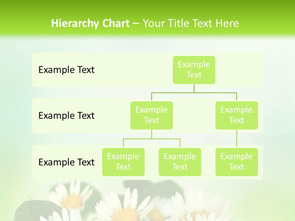 Fresh Daisy Growth PowerPoint Template