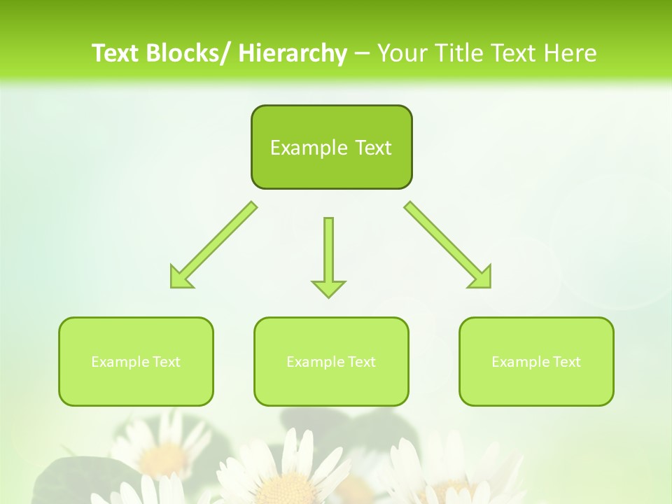Fresh Daisy Growth PowerPoint Template