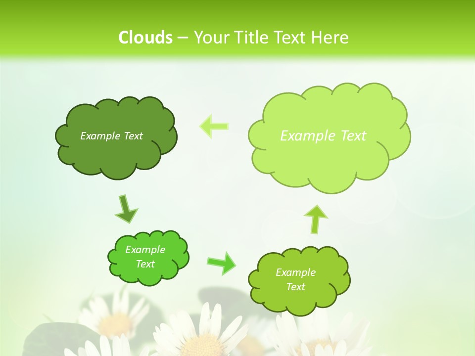 Fresh Daisy Growth PowerPoint Template