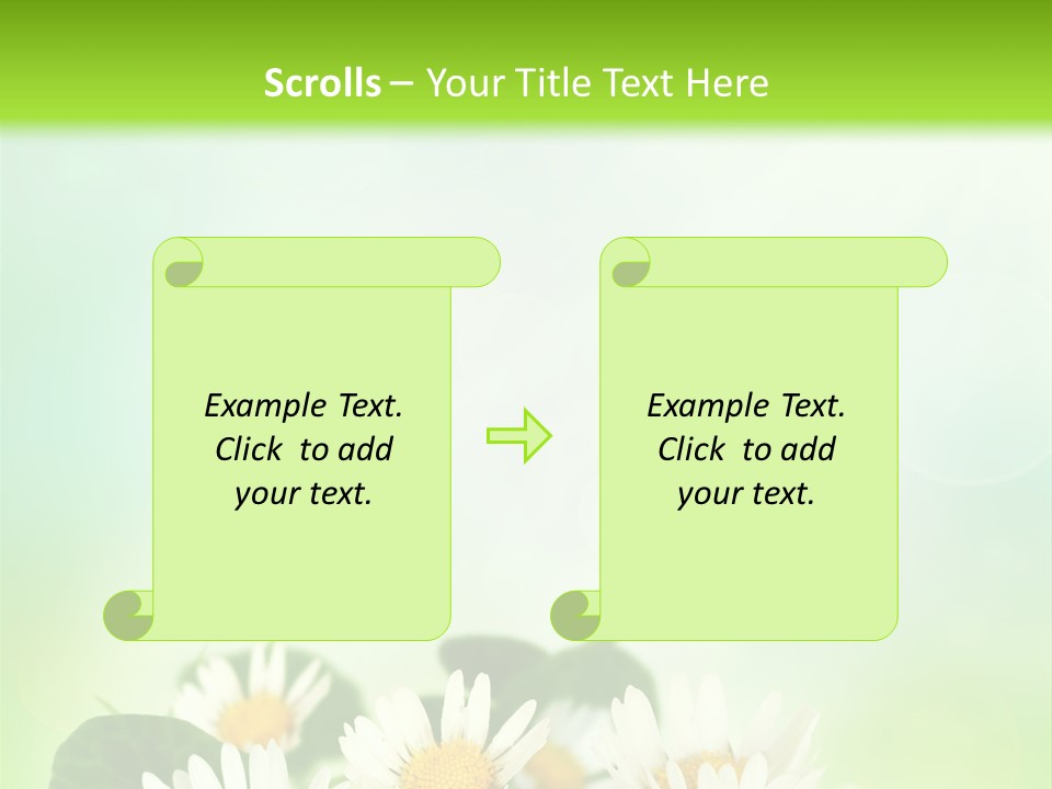 Fresh Daisy Growth PowerPoint Template