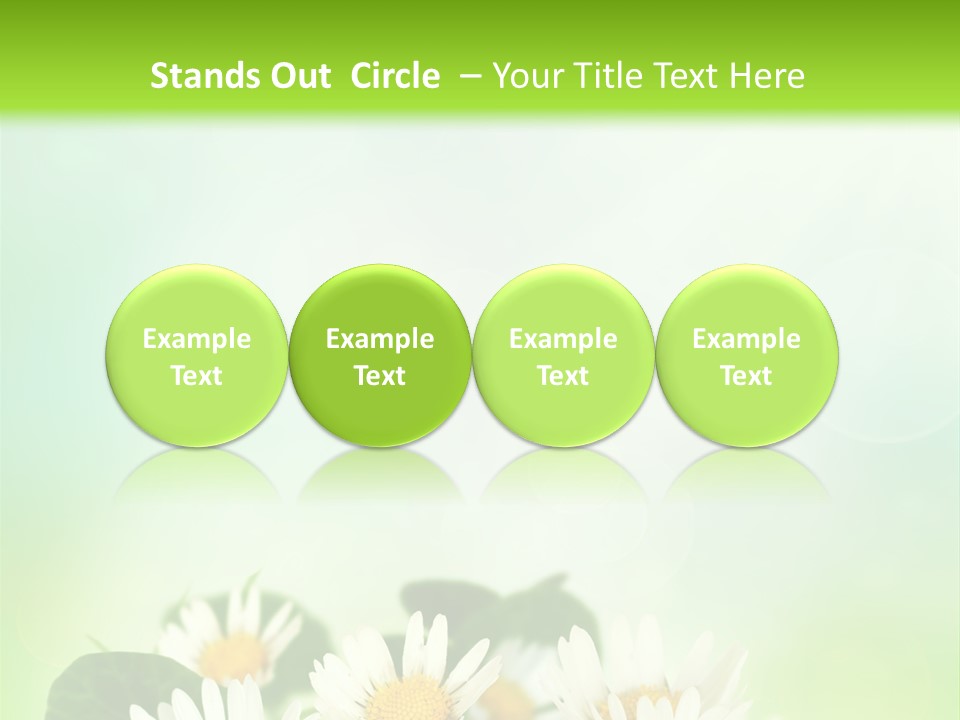 Fresh Daisy Growth PowerPoint Template