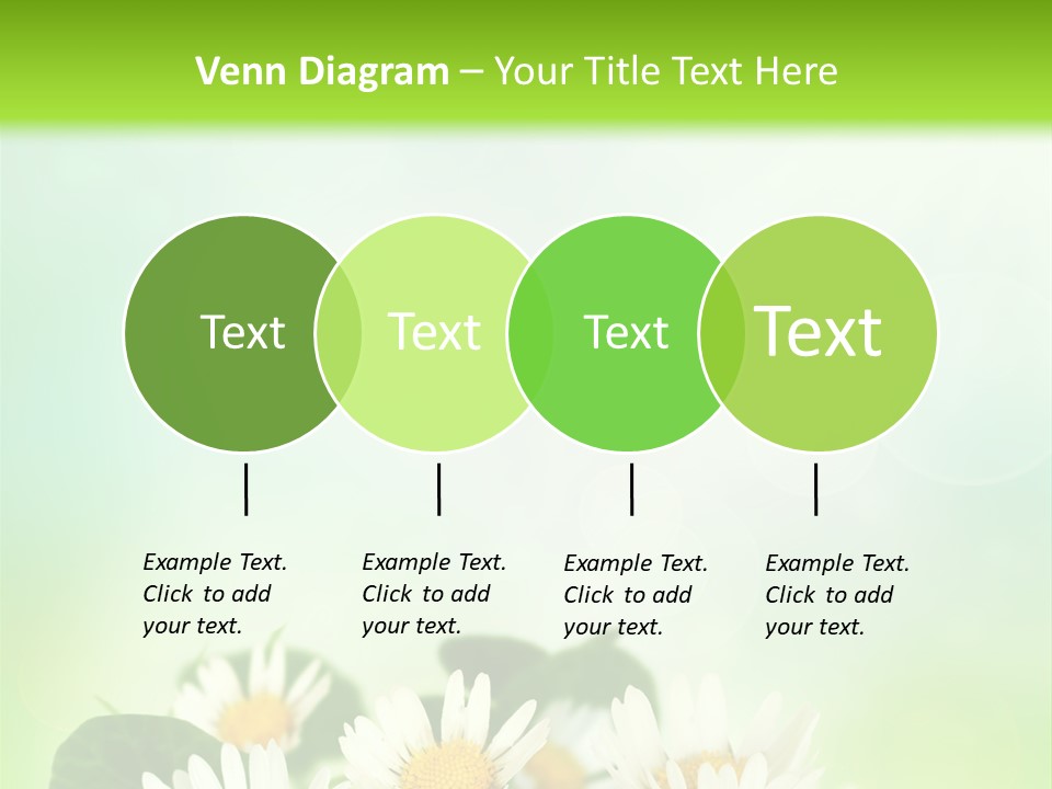 Fresh Daisy Growth PowerPoint Template