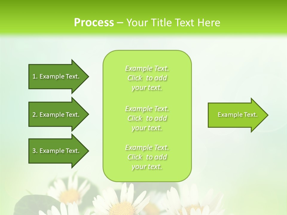 Fresh Daisy Growth PowerPoint Template