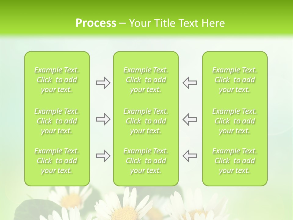 Fresh Daisy Growth PowerPoint Template