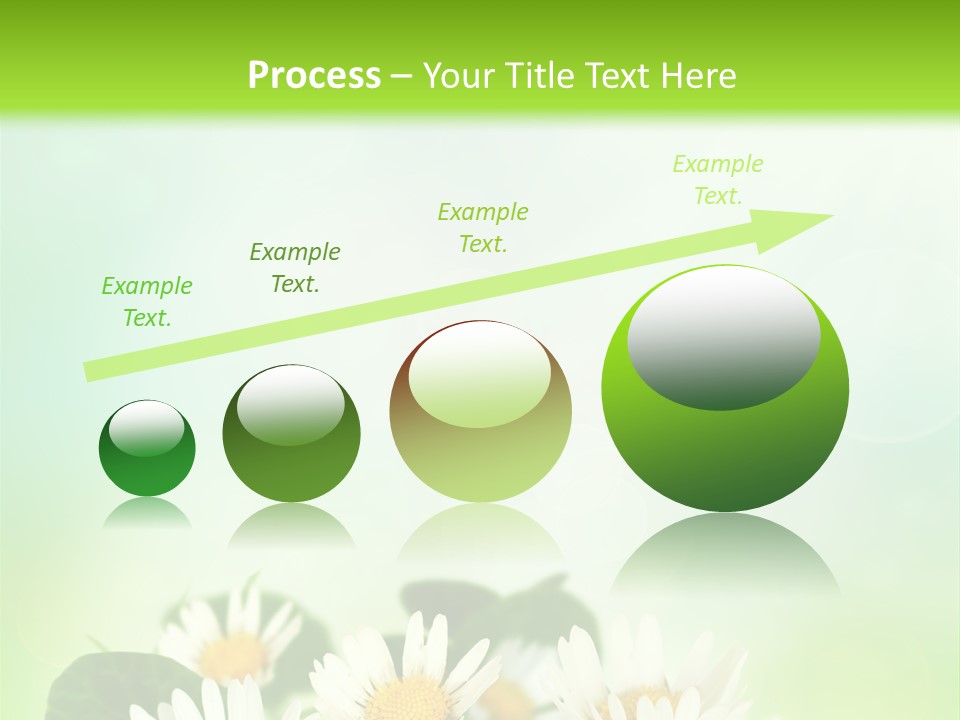 Fresh Daisy Growth PowerPoint Template
